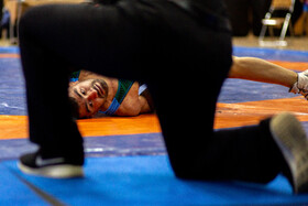 رییس هیات کشتی اردبیل توسط دبیر و انوشیروانی برکنار شد