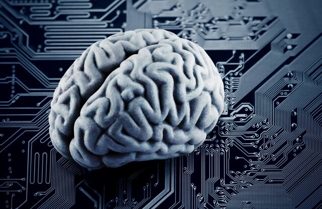 مغز انسان به مثابه یک سازمان اقتصادی است / ساماندهی دانش بنیان ها با کمک ساختار مغز