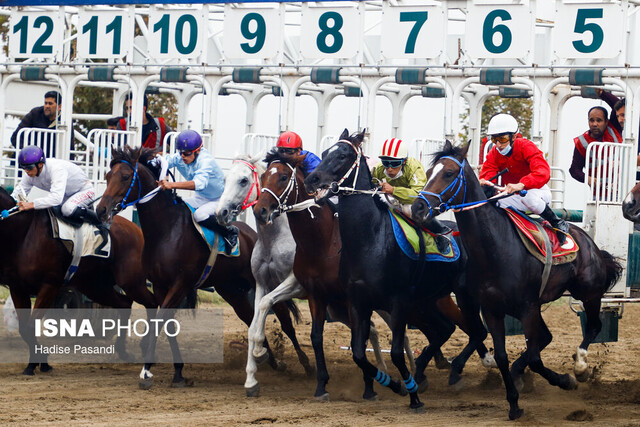 معرفی برترینهای هفته سوم اسب دوانی کشور در اهواز