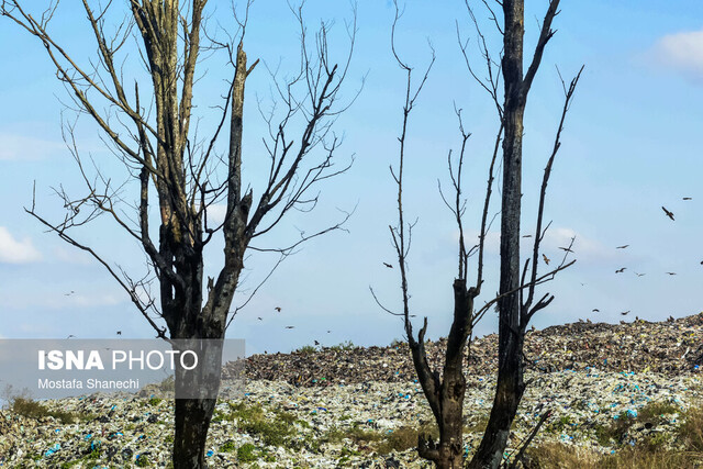 لزوم مشارکت عمومی برای کاهش معضل زباله در مازندران