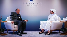 گفت‌وگوی وزرای خارجه امارات و مصر درباره تحولات کشورهای عربی