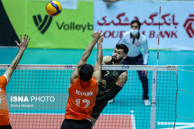 عکس تزئینی است سقوط سرو به رتبه چهارم!