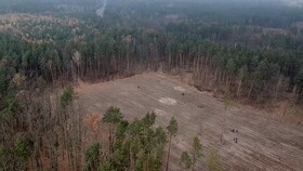 برنامه اوکراین برای احیای جنگل‌هایش