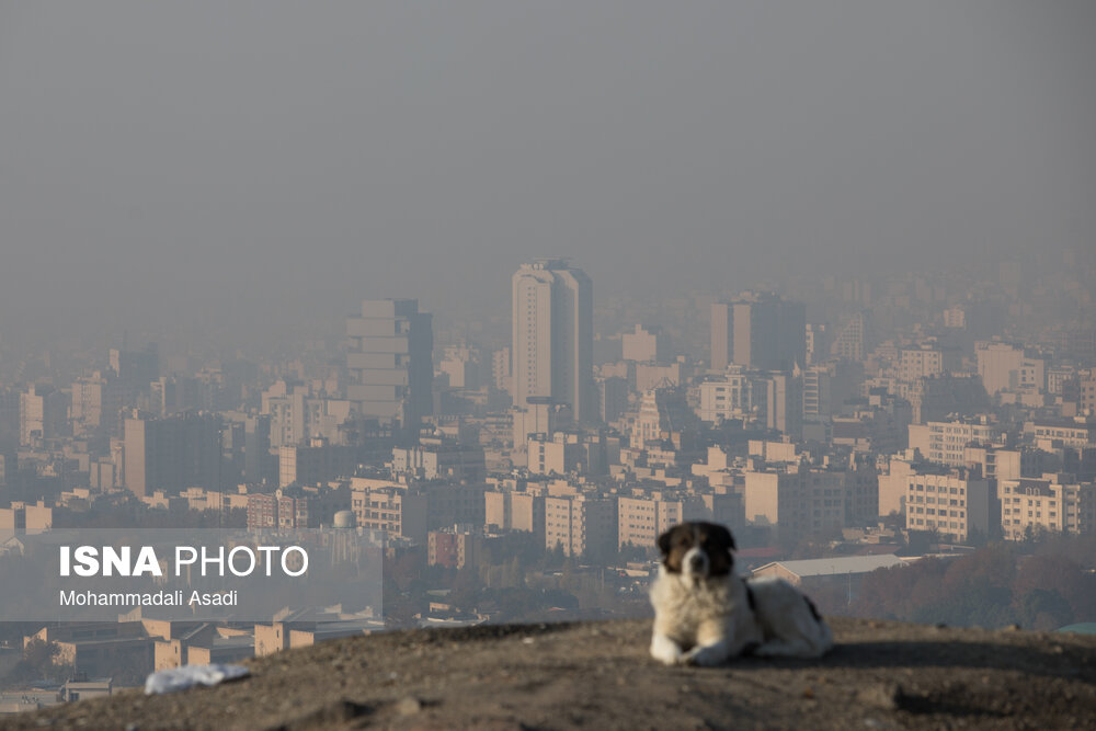 Pollution In Iran Air pollution in Tehran - ISNA
