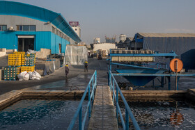 در بخش تصفیهخانه شیرآبه (نوشیدنیهای مرجوعی) بعد از تصفیه توسط تانکرها به زمینهای زراعی منتقل میشود.