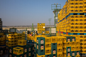 بهنوش ایران با ۱ کارخانه و ۱ خط تولید ماءالشعیر آغاز به کار کرد که در حال حاضر تعداد کارکنان آن چیزی حدود ۱۳۰۰ نفر در ۹ کارخانه و ۱۸ خط تولید است که انواع نوشیدنی را تولید میکند.