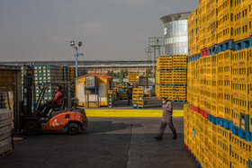 بخش بارگیری کارخانه بهنوش ایران