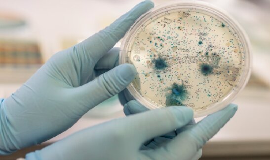 نتایج امیدبخش یک واکسن برای درمان عفونت ادراری