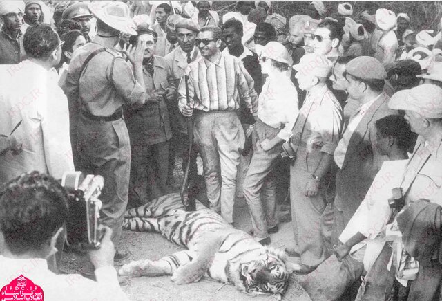 اردشیر زاهدی در قاب تصویر