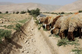 تشدید کم آبی ناشی از  تغییرات اقلیمی در عراق
