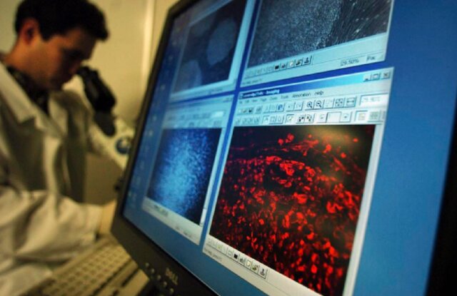 همکاری هوش مصنوعی و سلولهای بنیادی برای ترمیم اعضای بدن