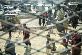 سرپرستهای خانواده اهل کابل در انتظار بررسی کارت شناسایی صادر شده از جانب سازمان جهانی غذا برای دریافت سبد غذایی دوره اول شان هستند.