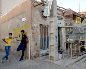 پرنده فروشی واقع در خیابان شهید خلیلی شرقی در محله «همت آباد» اصفهان