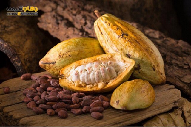 پودر کاکائو چه مقدار کافئین دارد؟ پودر کاکائو چه مقدار کافئین دارد؟