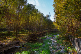 ایران زیباست؛ پاییز روستای «قاهان» 15