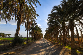 ایران زیباست؛ ریگ ملک
