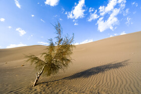 ایران زیباست؛ ریگ ملک