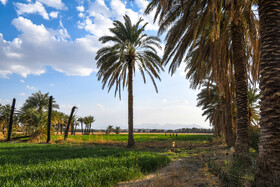 ایران زیباست؛ ریگ ملک