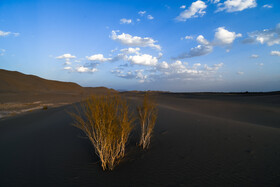 ایران زیباست؛ ریگ ملک