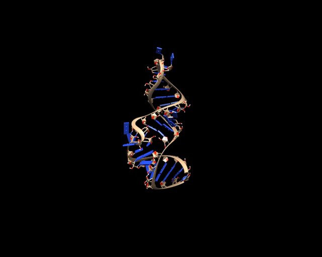 شناسایی ترکیبات جدیدی که میتوانند مانع تکثیر کروناویروس شوند