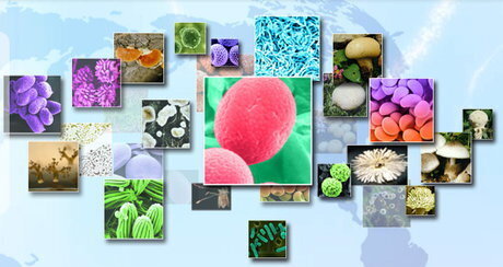 اهداکنندگان برتر نمونههای زیستی معرفی و تقدیر میشوند اهداکنندگان برتر نمونههای زیستی معرفی و تقدیر میشوند