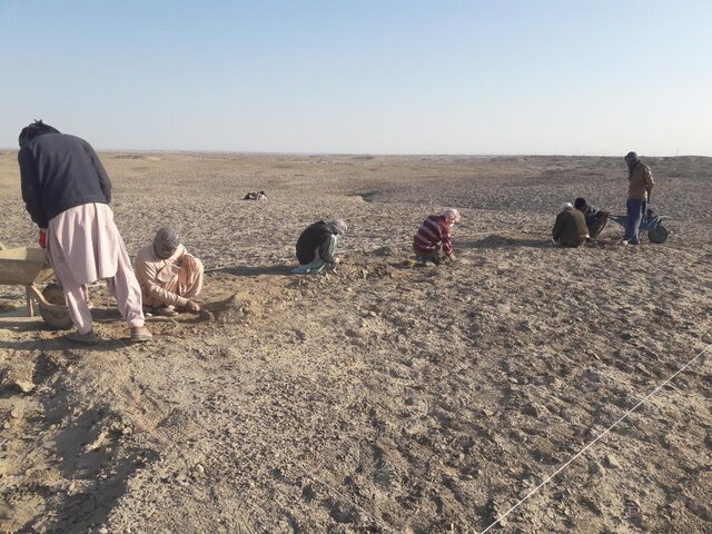 کمبود بودجه کاوش شهر سوخته را محدود کرد