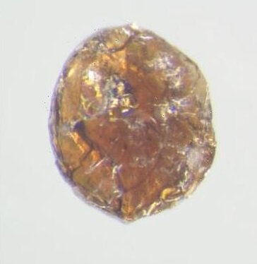 ساخت شیشهای سختتر از الماس!