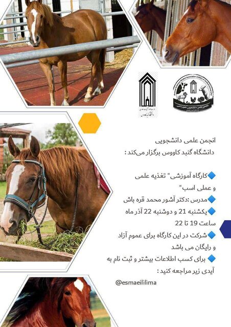 کارگاه آموزشی «تغذیه علمی و عملی اسب» برگزار میشود