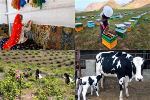 مفاهیم و الگوهای توسعه کسب و کارهای روستایی و مناطق محروم