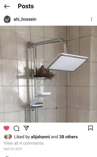 ماجراهای شگفتانگیز آقای آهی