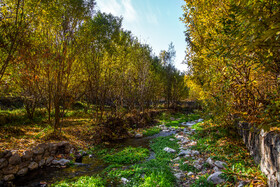 ایران زیباست؛ پاییز روستای «قاهان»