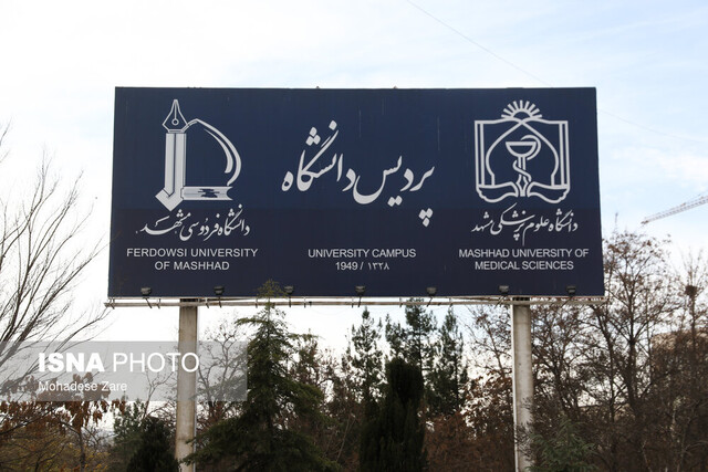 ادغام دو وزارتخانه، فرصت دسترسی به استادان نخبه برای دانشجویان را فراهم میکند
