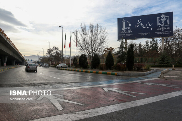 ادغام دو وزارتخانه، فرصت دسترسی به استادان نخبه برای دانشجویان را فراهم میکند