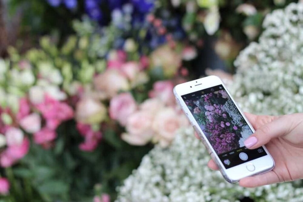 راهنمای خرید آنلاین گل شب یلدا