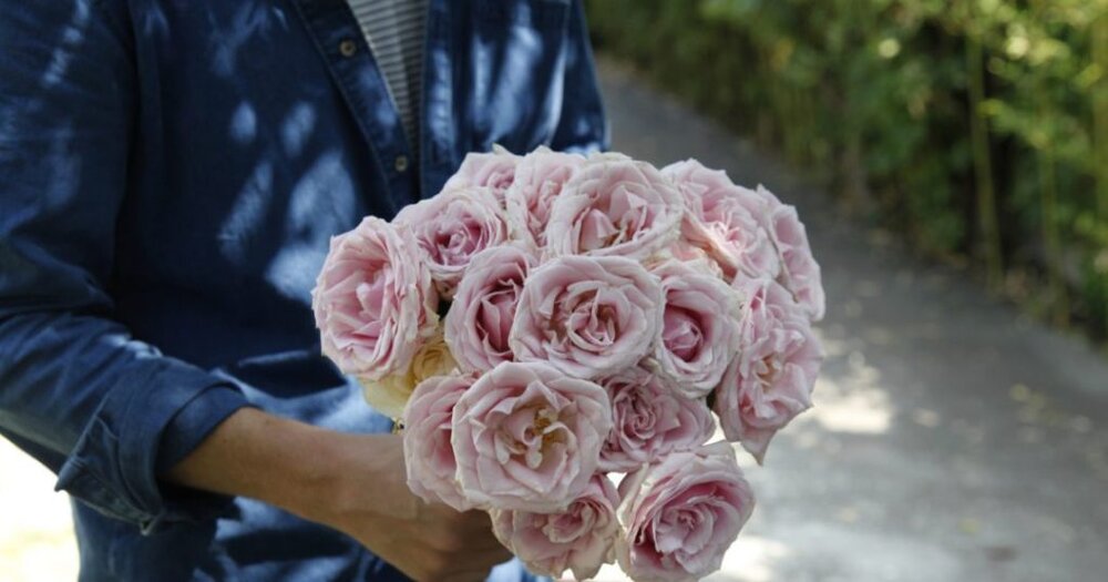 راهنمای خرید آنلاین گل شب یلدا