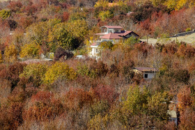 ایران زیباست؛ پاییز روستای «افجه»