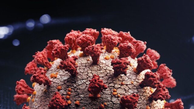 عکس: گتی ایمجز شناسایی سویه اُمیکرون در هند