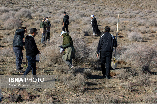 عکس تزئینی است. برگزاری پویش مردمی بذرکاری در شهرستان ورامین