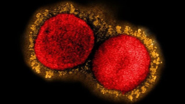 چگونه واکسن کرونا برای "اُمیکرون" بهروزرسانی میشود؟