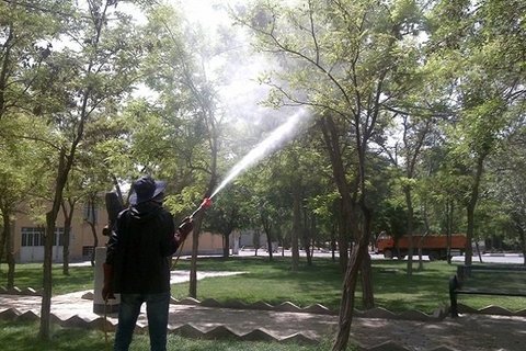 ایجاد کسب و کار در حوزه آفات شهری ایجاد کسب و کار در حوزه آفات شهری