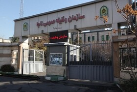 تعیین وضعیت خدمت وظیفه عمومی بازیکنان مشمول تیم استقلال تهران