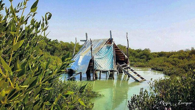 خصوصیات «مهوش شیخالاسلامی» به روایت خودش و دوستانش