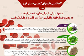 اینفوگرافیک / هفت چاشنی مفید برای کاهش فشار خون