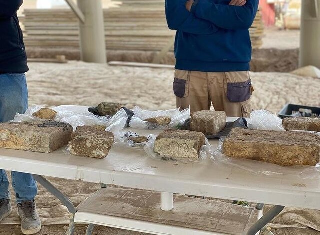 تصاویر سفارت ایتالیا از کشف "خیرهکننده" پارسه تختجمشید