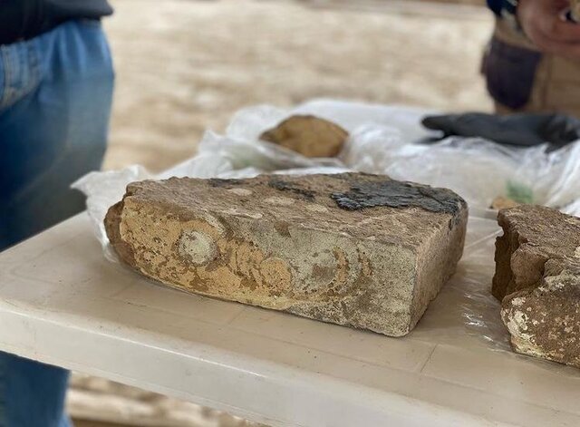 تصاویر سفارت ایتالیا از کشف "خیرهکننده" پارسه تختجمشید