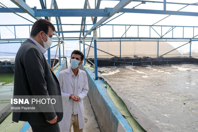 سفر معاونین جهاددانشگاهی کشور به بوشهر