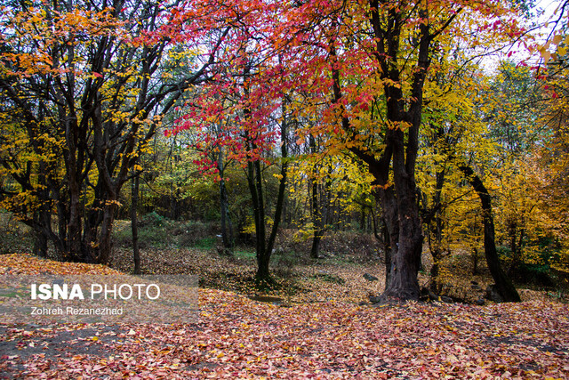 کشته شدن رهبر داعش، المپیک زمستانی و کاهش محبوبیت بایدن 5