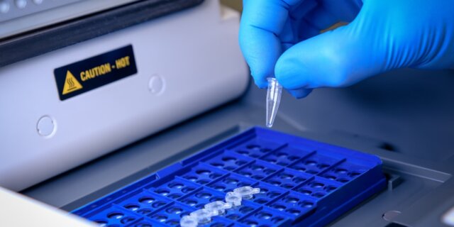 برگزاری کارگاه آموزشی استخراج DNA ،PCR و الکتروفورز