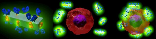 نخستین سیستم انتقال دارو و پادتن برای درمان بیماریهای حاد