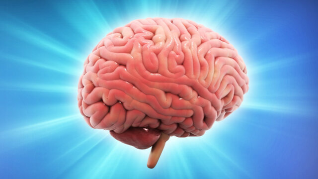 عکسی که از رفتن خبر میدهد